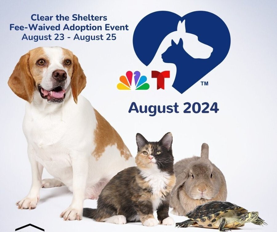 Clear the Shelters