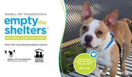 Bissell Pet Foundation's Empty the Shelters National Adoption Event. More info: bissellpetfoundation.org/ets