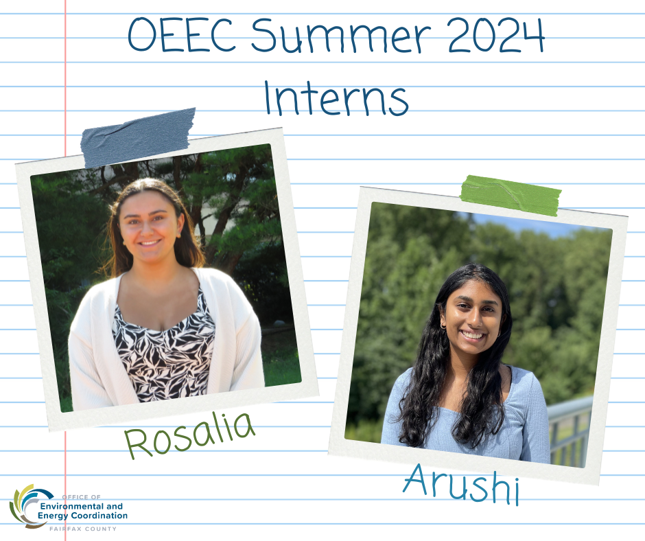 oeec interns