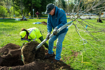 man and woman planting a tree