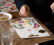 Image of pressed flowers on a piece of paper.