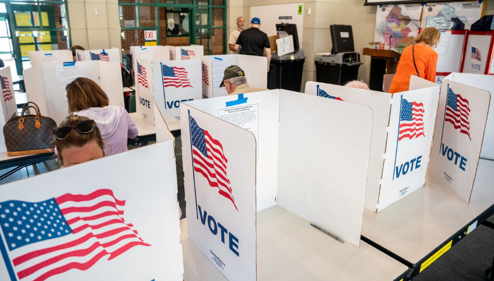 Image of people voting behind dividers 