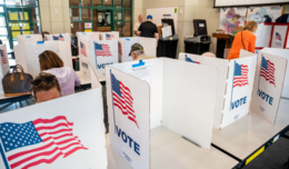Image of people voting behind dividers. 