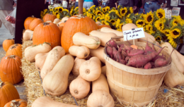 Image of fall vegetables such as squash and sweet potatoes on display at a farmers market.