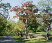 Image of the Sully Historic site in the fall. 