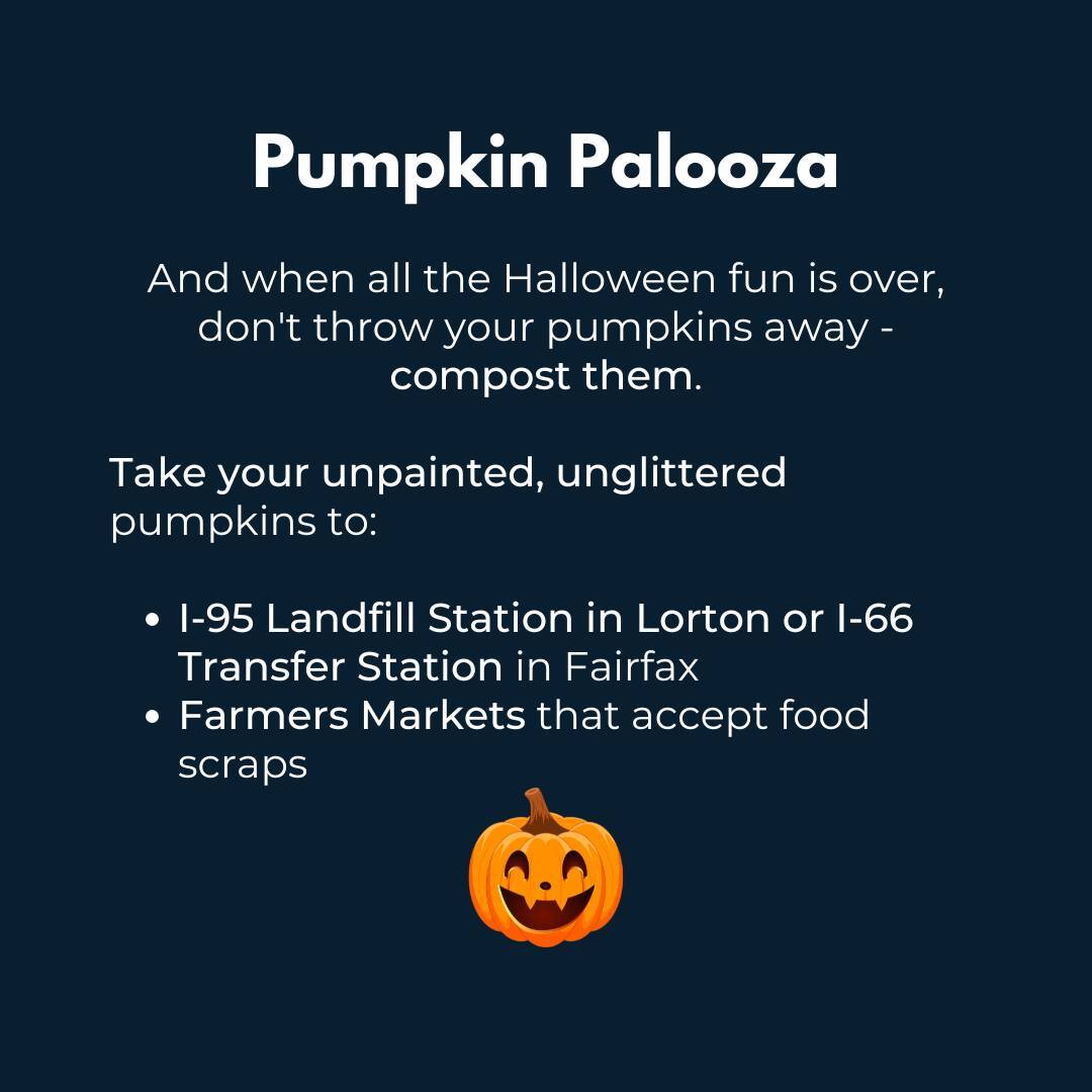 pumpkin palooza graphic