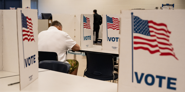 Image of a person voting behind a voting divider.