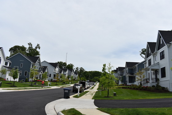 Driveways and Houses