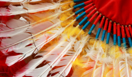 Close up image of a feathered headpiece