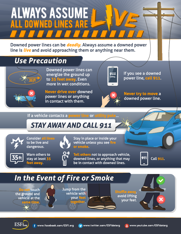 downed trees from wind and emergency preparedness image