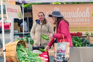 farmers market