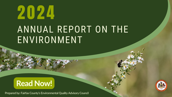 ARE graphic with bee on plant