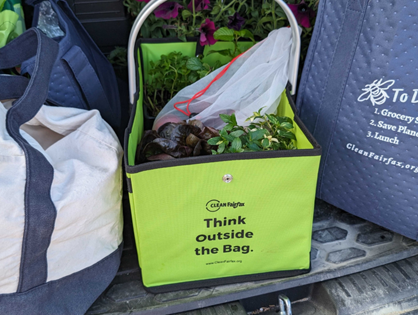 think outside the bag green reusable bag