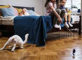 Cat Playing with Children and Toy