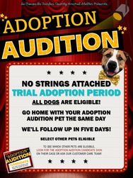 Adoption Audition