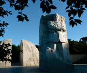 Image of the Martin Luther King, Jr. Memorial framed by the leaves of surrounding trees. 