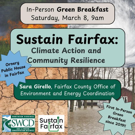 green breakfast promo graphic