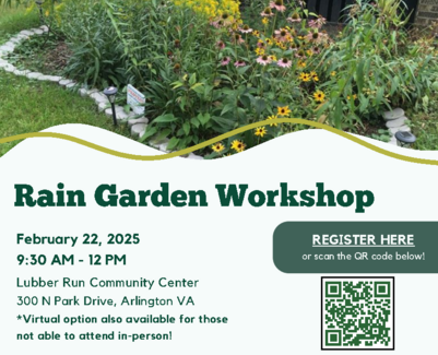 rain garden promotion graphic