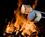 Image of roasted marshmallows on sticks, in front of an orange campfire.