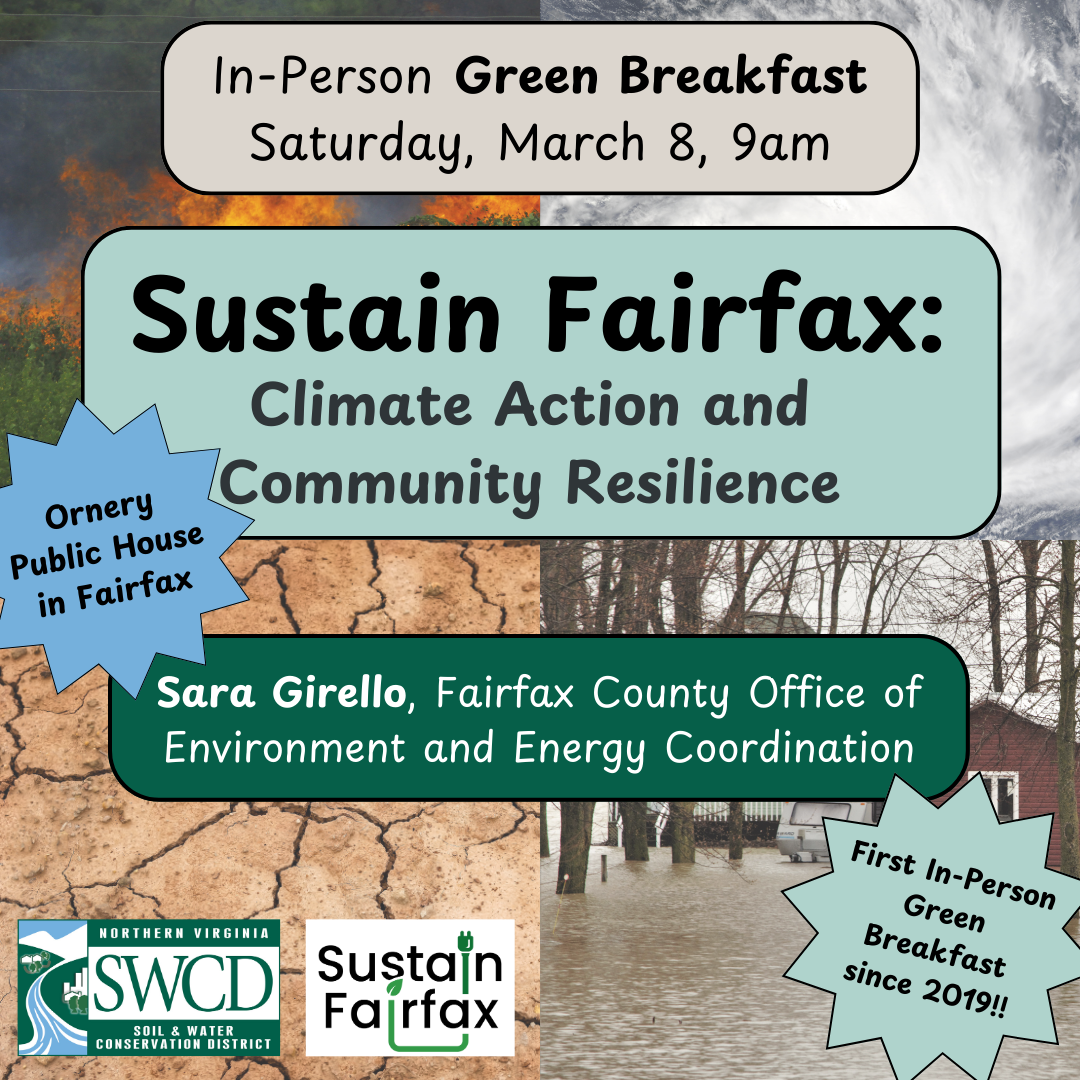 green breakfast promo graphic