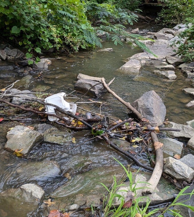 trash in a stream