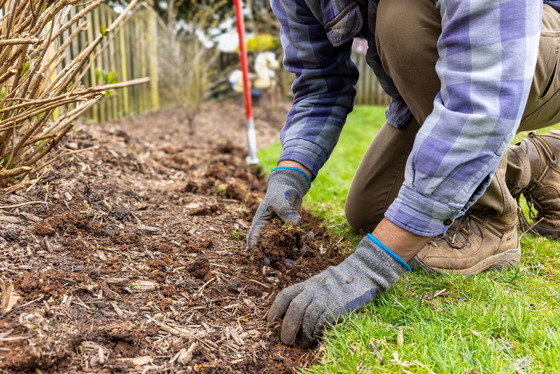 person gardening with gloves on