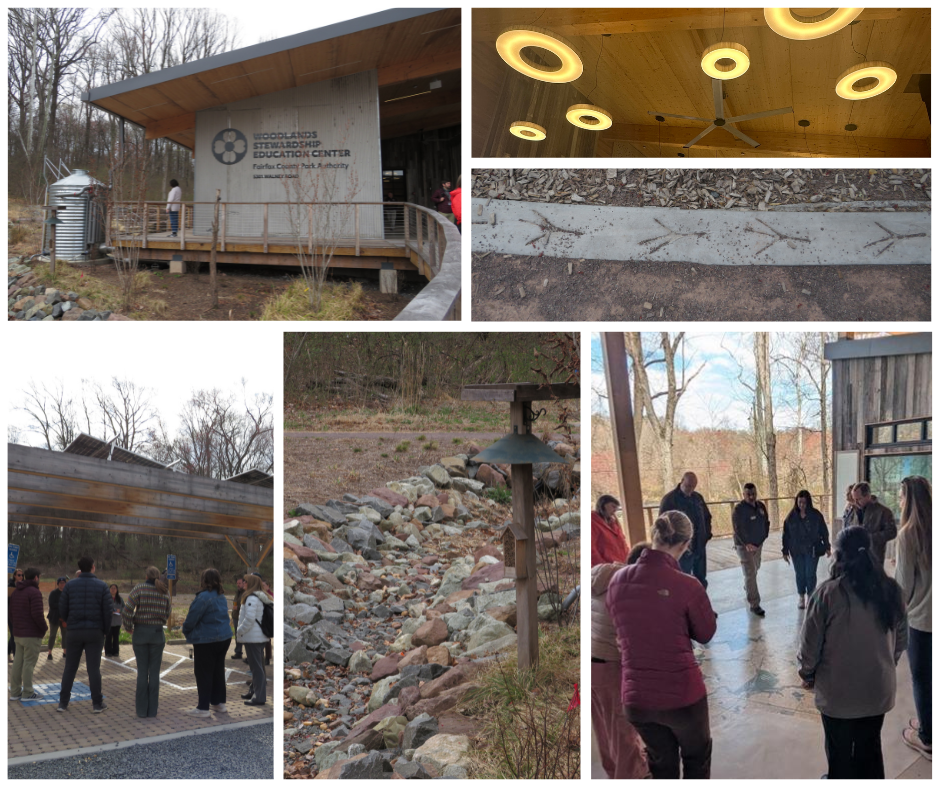 feee field trip photo collage