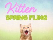 Kitten Spring Fling