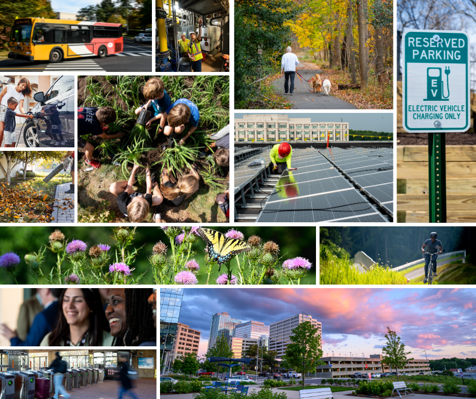 collage of environmental photos from OEEC