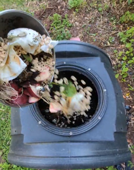 photo of someone pouring composting matter into a bin