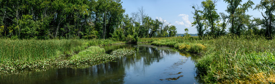 photo of a river in fairfax county alexandria area