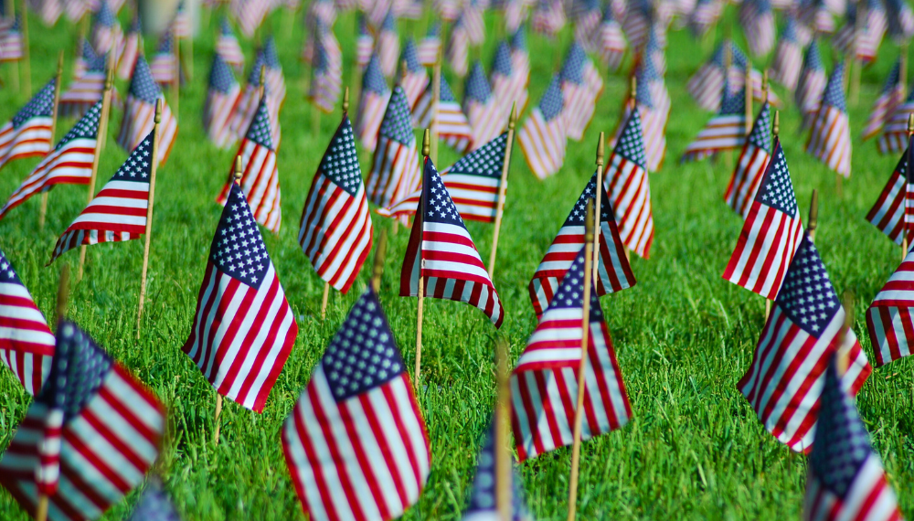 Image of hundreds of small American flags standing in green grass.