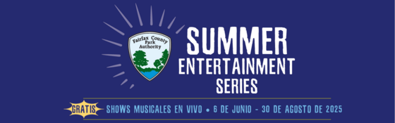 Summer series