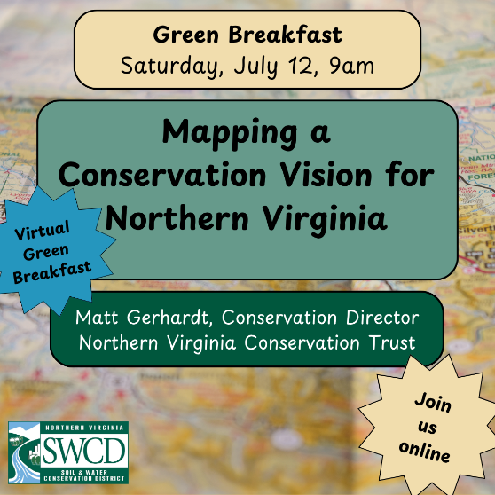 green breakfast promo graphic