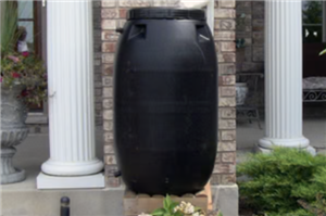 black rain barrel