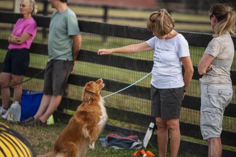 There's lots for your dog to do with Fairfax Parks