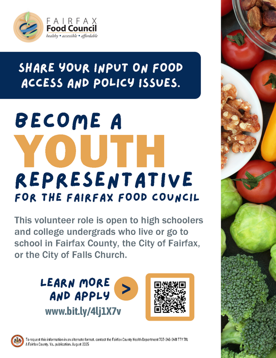 FFC Youth Representatives Flyer