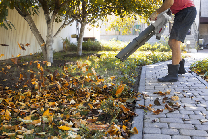 photo of man using a leaf blower