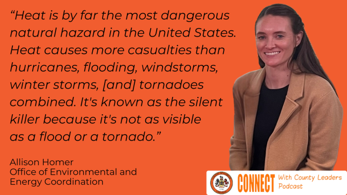 pull quote from allison homer