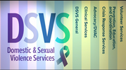 DSVS graphic