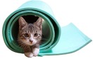A kitten lays in rolled up yoga mat