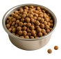 silver bowl of pet food