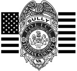 Sully Badge with flag