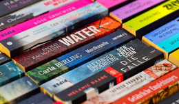 Books lined up, showing the colorful spines. 