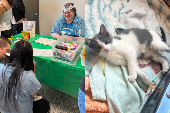 Woman sitting at table smilling at couple, another picture of kitten lying on its back
