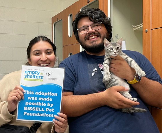 Man and woman smiling and holding young cat