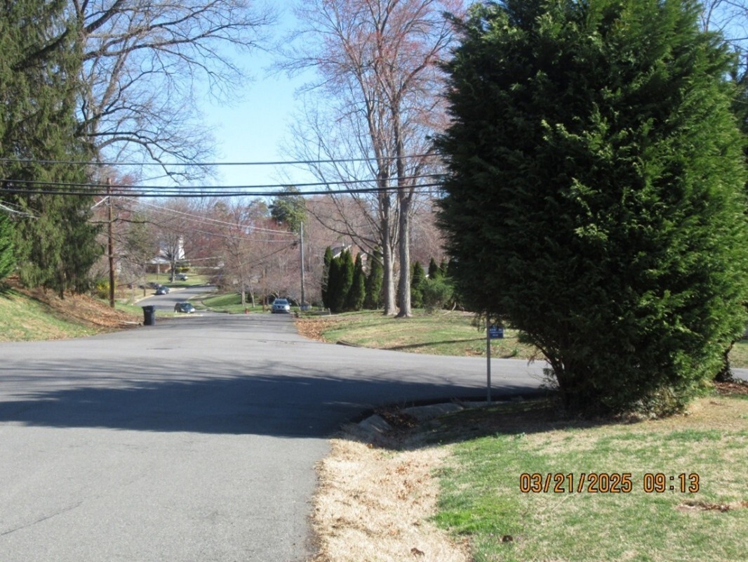 An untrimmed tree blocking view of a stop sign in a residential neighborhood.