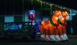 Inflatable horse and carriage with a sign that reads "Frying Pan Farm Park" on the side.