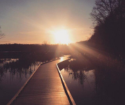 Huntley Meadows Park boardwalk with the sun setting in the distance.