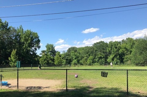 Westgrove Dog Park